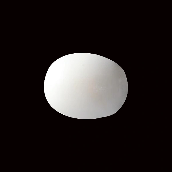 White Coral - 5.53 carats